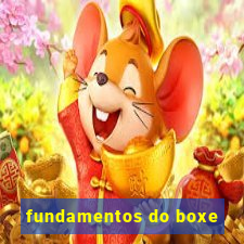 fundamentos do boxe